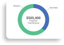 Revenue pie chart example